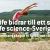 Swelife bidrar